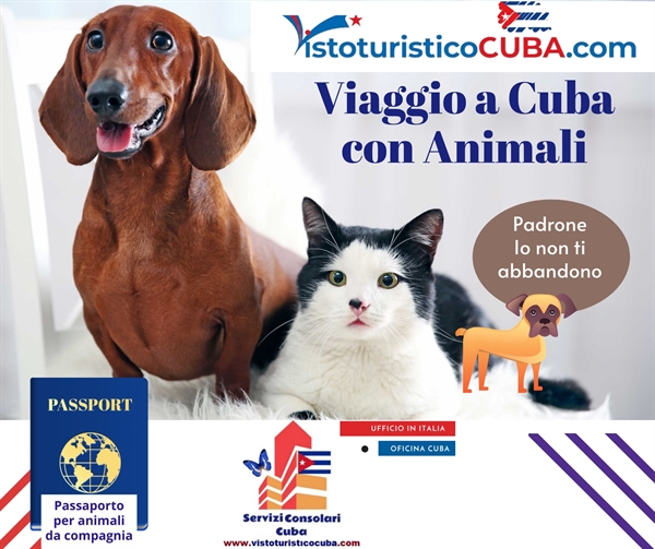 Certificato per animali domestici per viaggiare a Cuba